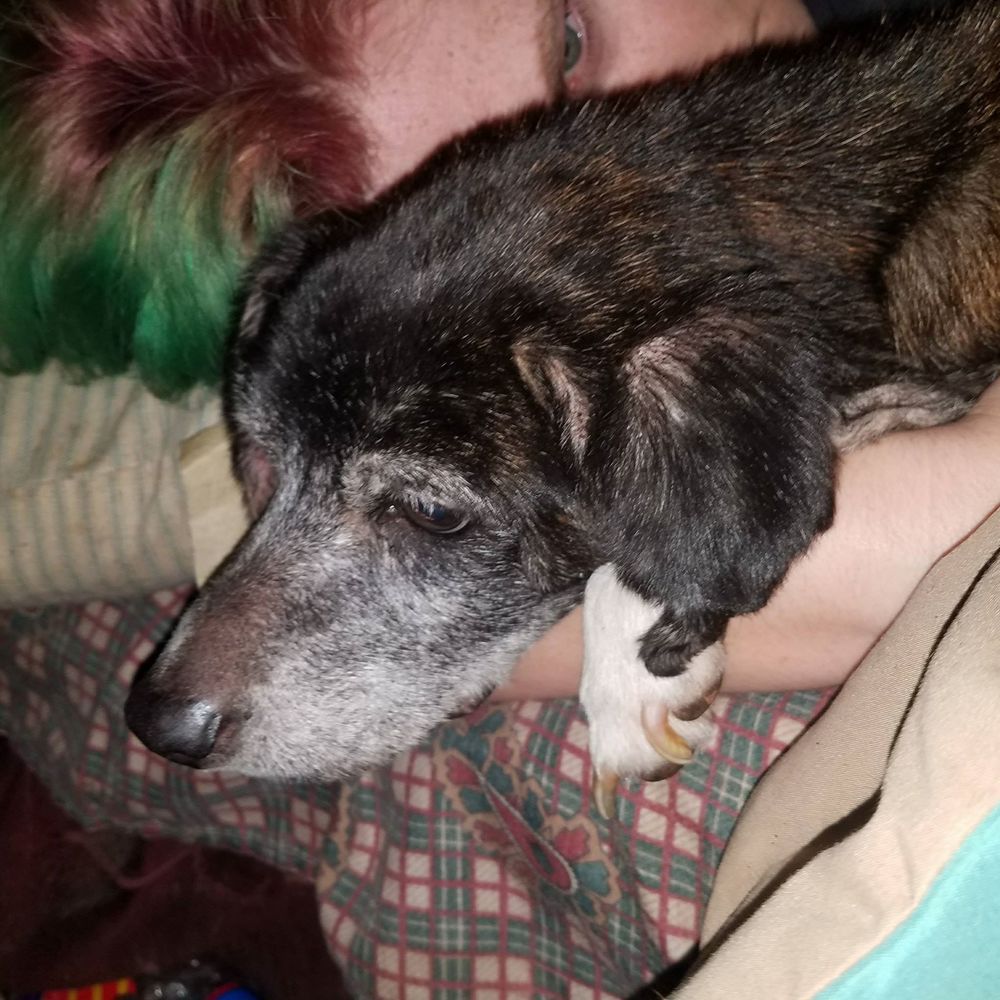 Meet your Posher, Marie